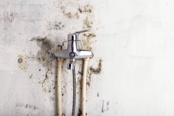 Best Preventive Mold Services in Seven Oaks, SC