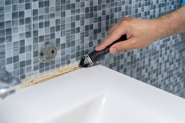 Best Kitchen Mold Remediation in Seven Oaks, SC