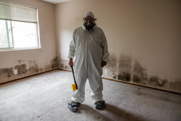 Best Post-Flood Mold Remediation in Seven Oaks, SC